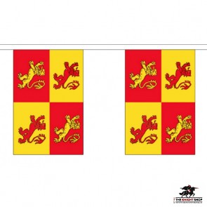 Welsh Owain Glyndwr Bunting - 9 metre