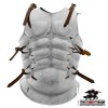 Greek Muscle Cuirass Armour - Steel