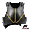 Huscarl Cuirass (Back & Breast Plates)