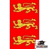 English 3 Lions Banner